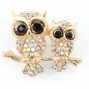 Betsey Johnson Owl Brooch